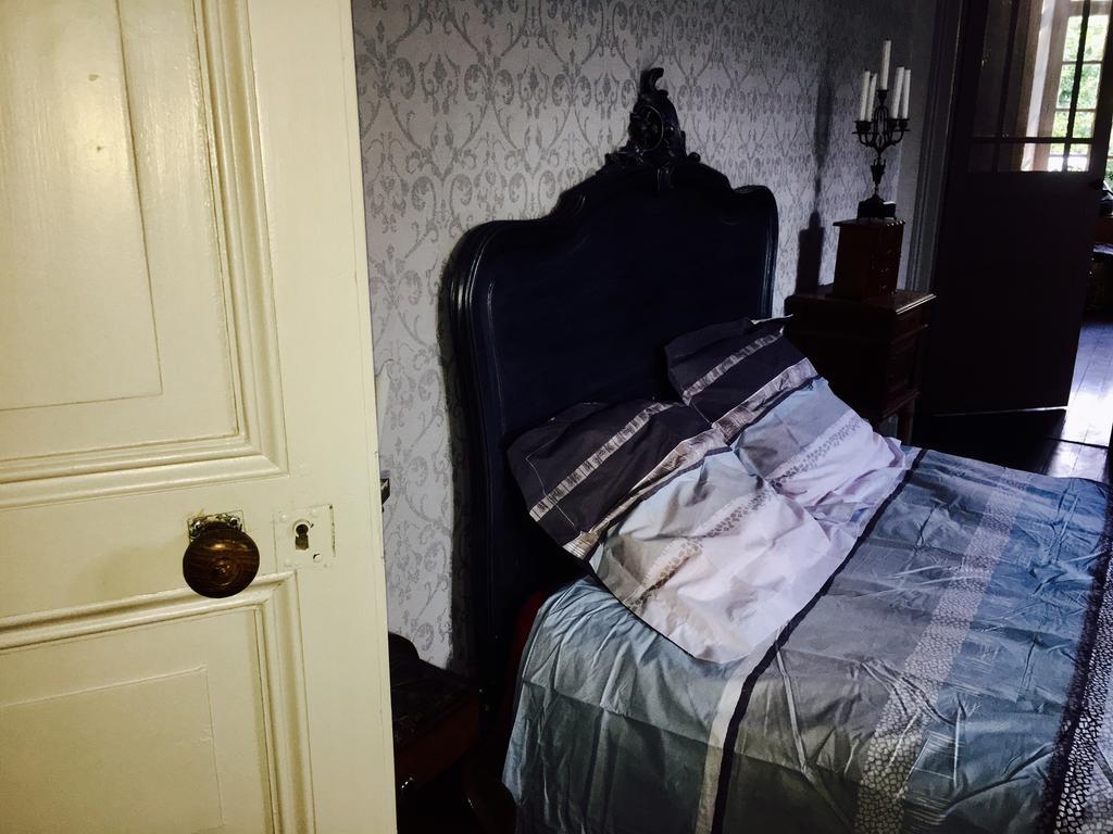 Le Petit Chateau Des Cedres Mouchamps Esterno foto