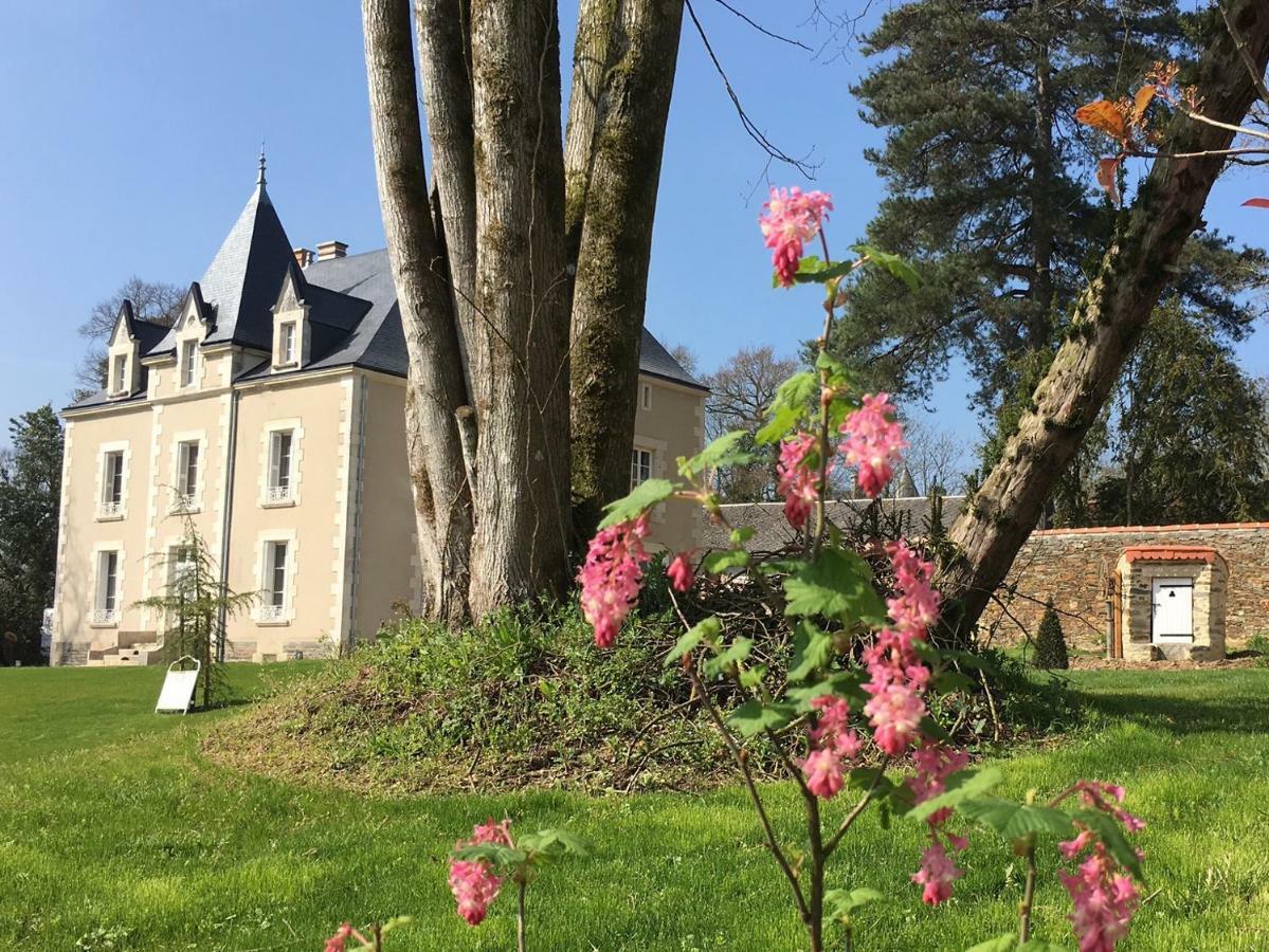 Le Petit Chateau Des Cedres Mouchamps Esterno foto