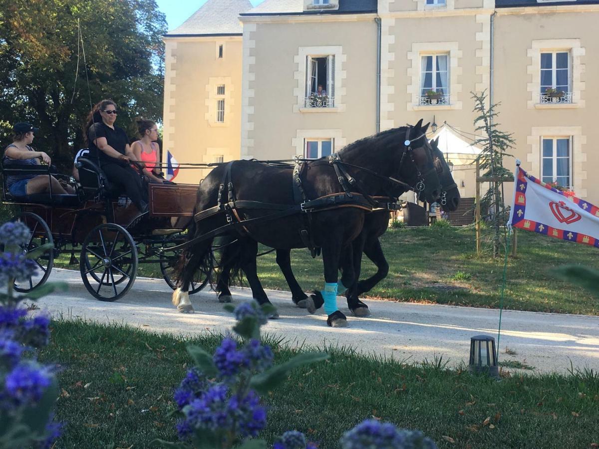 Le Petit Chateau Des Cedres Mouchamps Esterno foto